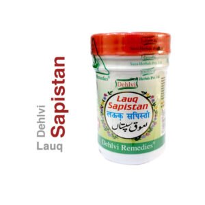 Dehlvi Lauq Sapistan