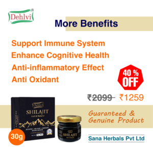 shilajit resin by Sana Herbals Dehlvi Remeidies Adv 2